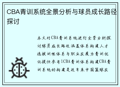 CBA青训系统全景分析与球员成长路径探讨