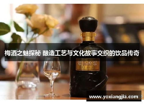梅酒之魅探秘 酿造工艺与文化故事交织的饮品传奇