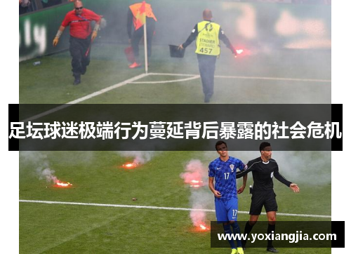 足坛球迷极端行为蔓延背后暴露的社会危机