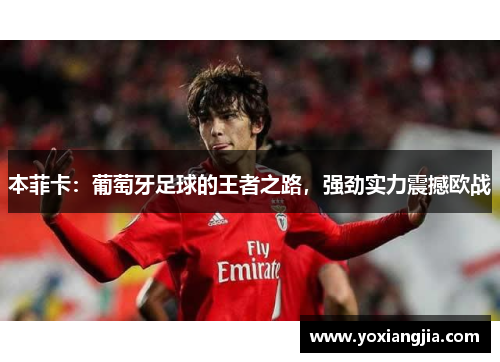本菲卡：葡萄牙足球的王者之路，强劲实力震撼欧战