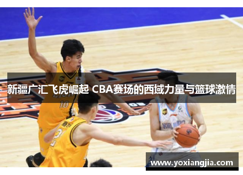 新疆广汇飞虎崛起 CBA赛场的西域力量与篮球激情