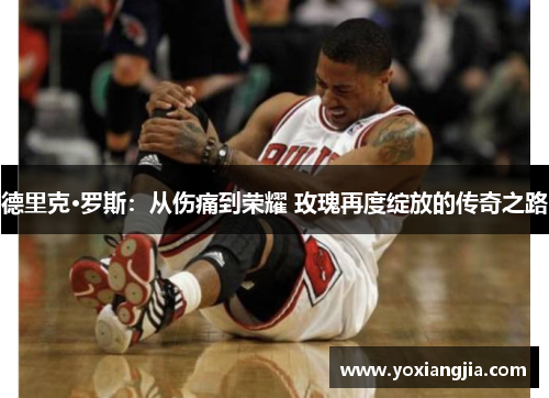 德里克·罗斯：从伤痛到荣耀 玫瑰再度绽放的传奇之路