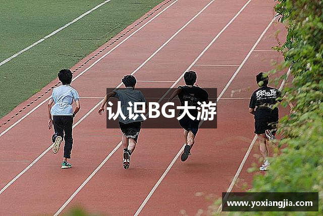 认识BG大游